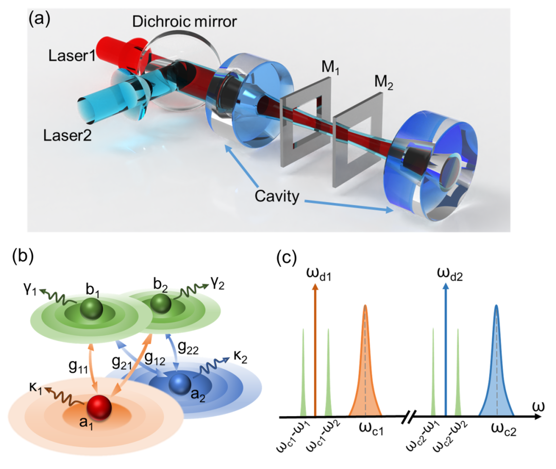 突破暗模极限光力冷却